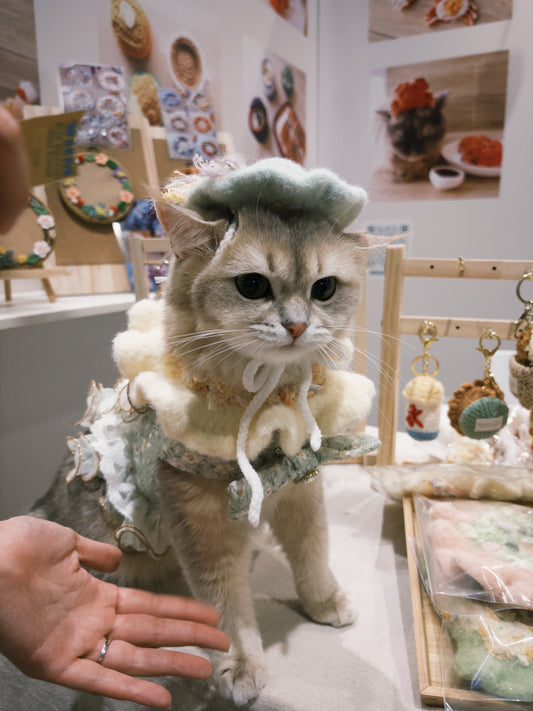 四季洋裝系列-春夏洋款帽子 (綁繩穿耳款)