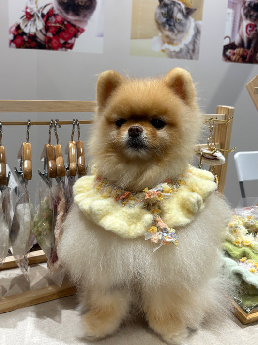 四季洋裝系列-春夏洋款卷邊珍珠扣頸圈