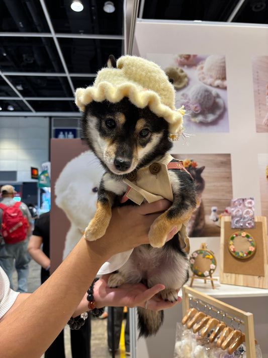 四季洋裝系列-春夏洋款帽子